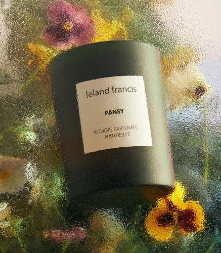 Pansy 2023_0808_LELANDFRANCIS-10_3Grid_437x500